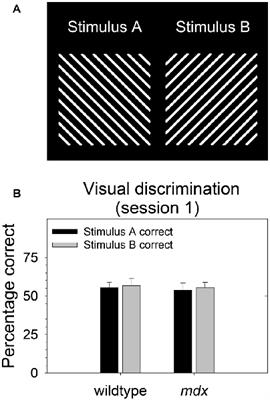 Visual Discrimination, Serial Reversal, and Extinction Learning in the mdx Mouse